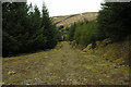 NN3093 : Forest track near the head of Glen Gloy by George Brown