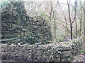 Old Mill Ruins, Felin Uchaf