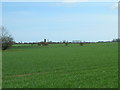 TA2132 : Farmland east of Lelley by JThomas