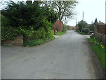 SE6955 : The Lane, Gate Helmsley by Chris Heaton