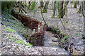 Riverbank Repairs, Boldre, Hampshire