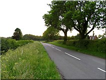 SK7111 : Ashby Road towards Ashby Folville by Andrew Tatlow