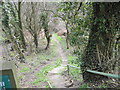 Footpath in Ughill Wood