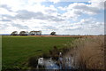 Pevensey Levels