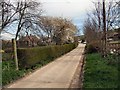 Footpath to Saltdean Boarding Kennels