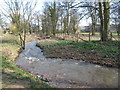 The Cor Burn at Corbridge Mill (2)