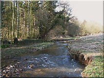 NY9764 : The Cor Burn at Corbridge Mill (3) by Mike Quinn