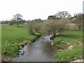 SJ9739 : River Blithe upstream at Cresswell by John M