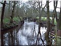 The River Don near Cheese Bottom