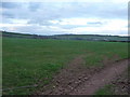 ST0016 : Mid Devon : Grassy Field by Lewis Clarke