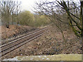 Railway Behind Gloucester Road