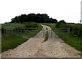 Track to Counthorpe Lodge