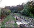 Forty Foot Lane