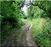 TL1286 : Track towards Luddington in the Brook by Andrew Tatlow