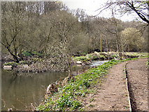 SD7912 : River Irwell at Burrs by David Dixon