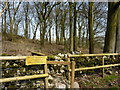 Shay Lodge Plantation, Burbage, Buxton