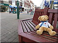 Tiverton : Fore Street & Bench