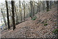 Footpath in woodland on Geraint Hill