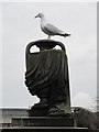 Gull on the urn