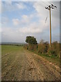 SU5948 : Telegraph pole in a field by Mr Ignavy