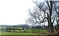 View west towards the estate village of Llandwrog