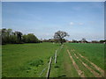 Path to Manor Farm