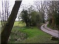 Bridleway off the A3 near Witley Common