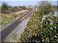 R3475 : Western Corridor Railway by C O'Flanagan