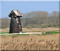 TM4599 : Fritton Marshes drainage mill by Evelyn Simak