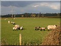 View NE from Middle Road, Harbury