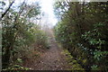 Footpath from Loch Spelve to Ardura