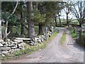 Farm road leading to Fron Olau