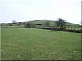 View across pasture land towards Carn Pentyrch hill