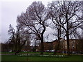 Glasgow Green (Near High Court)