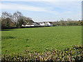 Pasture off The Manse Lane