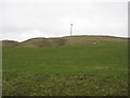 NT3628 : Hill grazing on Deuchar Hill by James Denham