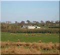 Wester Glentore Farm