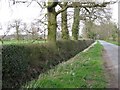 Hedge and ditch, Manor Lane