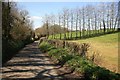 Lane nr Honeywick