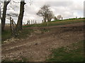 Track junction on a byway to Larkey Valley Wood