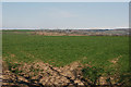 Field near Lluest farm