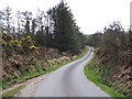 Woodland block north of Efail Pensarn