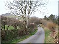 View along the road towards the woodland plantation in the valley north of Efail Pensarn