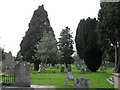 The churchyard at St Mary, Easebourne