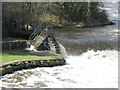 Blackwater River Weir at Benburb