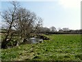 The River Torridge approaching Ashmansworthy Bridge