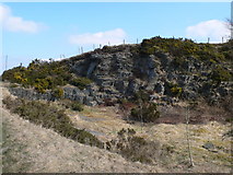SH9660 : Rocky outcrop on Denbigh Moors by Eirian Evans