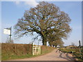 Hitts Barton Equestrian Farm