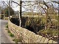 Bridge Over Kelbrook Beck