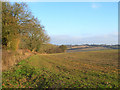 Farmland, Faccombe